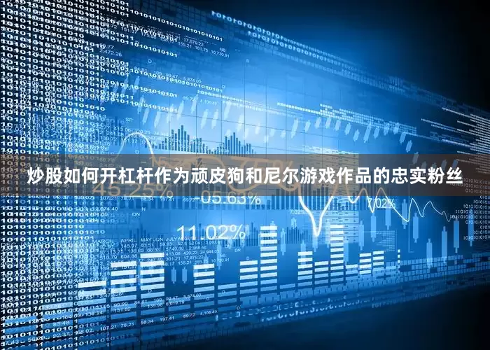 炒股如何开杠杆作为顽皮狗和尼尔游戏作品的忠实粉丝
