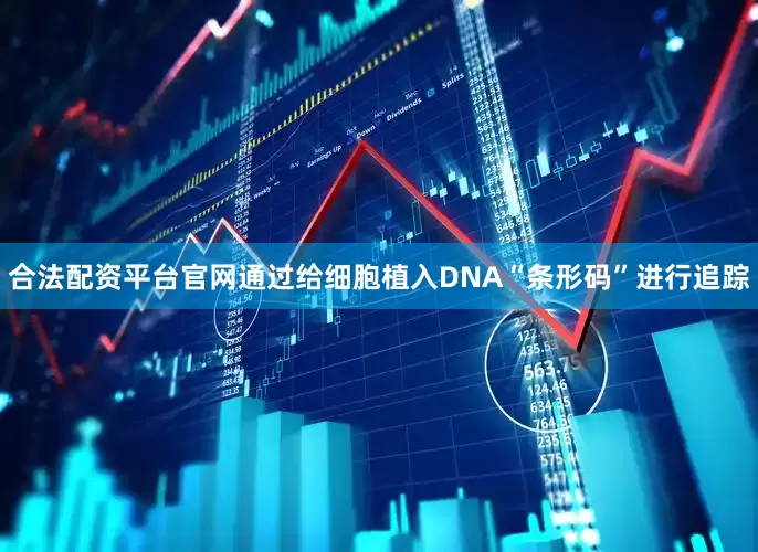 合法配资平台官网通过给细胞植入DNA“条形码”进行追踪