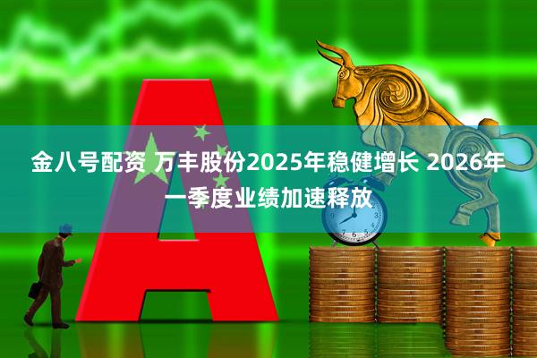 金八号配资 万丰股份2025年稳健增长 2026年一季度业绩加速释放