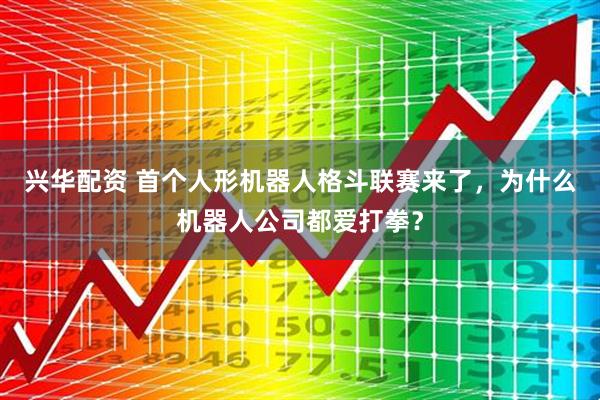 兴华配资 首个人形机器人格斗联赛来了，为什么机器人公司都爱打拳？