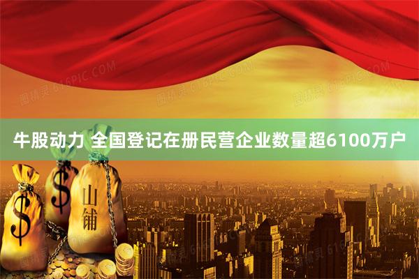 牛股动力 全国登记在册民营企业数量超6100万户