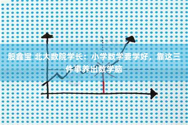 股鑫宝 北大数院学长：小学数学要学好，靠这三件事养出数学脑